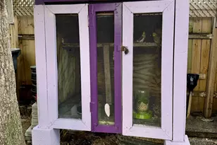 1718 NW 7th St, Fort Lauderdale, FL 33311 - Photo 15