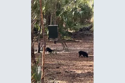 1040 Cracker Hammock, Sebring, FL 33875 - Photo 11