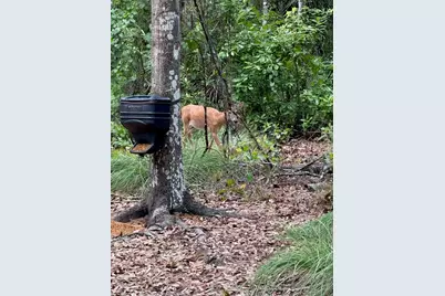 1040 Cracker Hammock, Sebring, FL 33875 - Photo 5