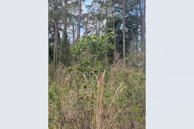 5421 Royal Palm Beach Boulevard, West Palm Beach, FL 33411 - Photo 3