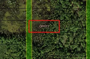 0 Old Grade Rd, Polk City, FL 33868 - Photo 1