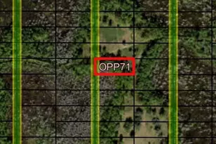 0 Old Grade Rd, Polk City, FL 33868 - Photo 1