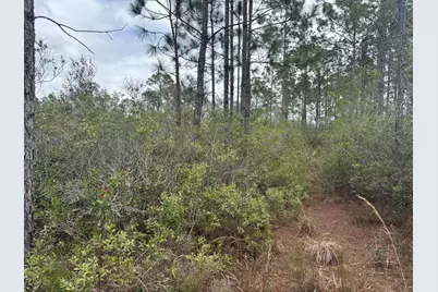 0 Old Grade Road, Polk City, FL 33868 - Photo 3