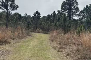 0 Old Grade Rd, Polk City, FL 33868 - Photo 1