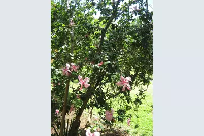 5162 NE 6th Avenue #317, Oakland Park, FL 33334 - Photo 27