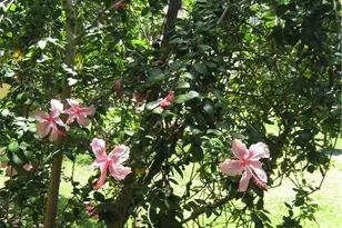 5162 NE 6th Ave, Oakland Park, FL 33334 - Photo 27