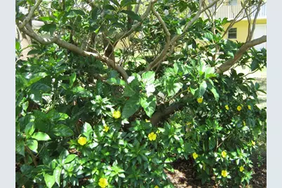 5162 NE 6th Avenue #317, Oakland Park, FL 33334 - Photo 31