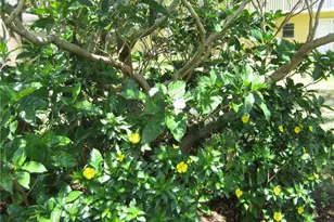 5162 NE 6th Ave, Oakland Park, FL 33334 - Photo 31