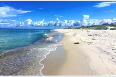 427 Sea Grove, Port Saint Joe, FL 32456 - Photo 83