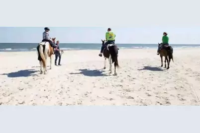 427 Sea Grove, Port Saint Joe, FL 32456 - Photo 89