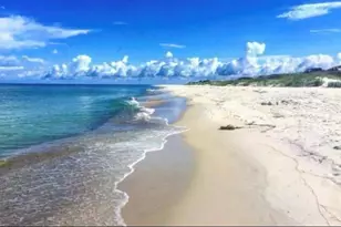 427 Sea Grove, Port Saint Joe, FL 32456 - Photo 53