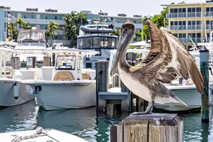 2630 NE 25th St, Lighthouse Point, FL 33064 - Photo 37