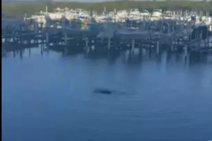 5167 N Hwy A1A, Fort Pierce, FL 34949 - Photo 13