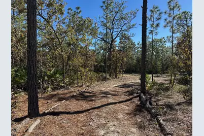 4944 W Mustang Boulevard, Beverly Hills, FL 34465 - Photo 5