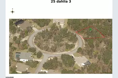 25 Dahlia Court N, Homosassa, FL 34446 - Photo 3