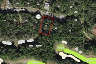 78 W Eridani Ct, Citrus Springs, FL 34434 - Photo 1