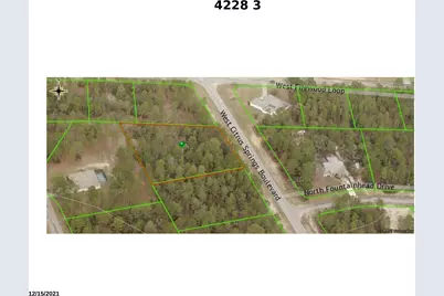 4228 W Citrus Springs Boulevard, Citrus Springs, FL 34433 - Photo 3