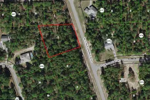 4228 W Citrus Springs Blvd, Citrus Springs, FL 34433 - Photo 1