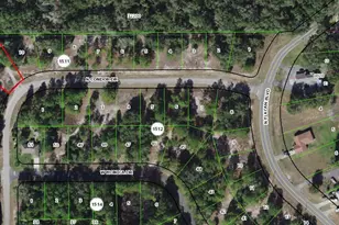 11960 N Condor Dr, Citrus Springs, FL 34433 - Photo 1