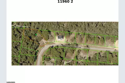 11960 N Condor Drive, Citrus Springs, FL 34433 - Photo 3