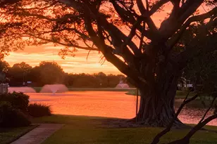 3119 Kingston Ct, West Palm Beach, FL 33409 - Photo 23