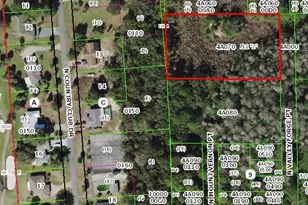 916 N Valley Forge Point, Crystal River, FL 34429 - Photo 1