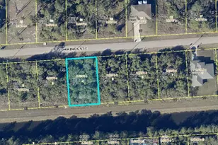 1112 Cummings St E, Lehigh Acres, FL 33974 - Photo 1