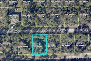 1214 Raphia St E, Lehigh Acres, FL 33974 - Photo 3