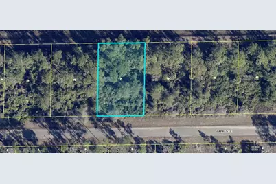 1113 Capri Street E, Lehigh Acres, FL 33974 - Photo 1