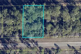 1113 Capri St E, Lehigh Acres, FL 33974 - Photo 1