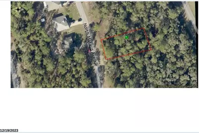 11059 N Mataro Avenue, Citrus Springs, FL 34434 - Photo 3