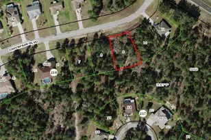 5 Greenpark Blvd, Homosassa, FL 34446 - Photo 1