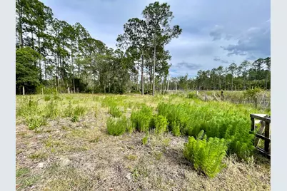 42111 Chinaberry Court, Eustis, FL 32736 - Photo 57