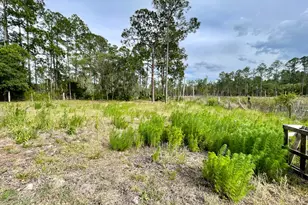 42111 Chinaberry Ct, Eustis, FL 32736 - Photo 57