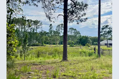 42111 Chinaberry Court, Eustis, FL 32736 - Photo 61