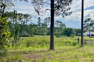 42111 Chinaberry Ct, Eustis, FL 32736 - Photo 61