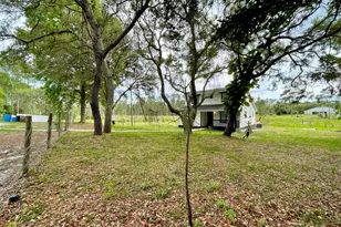 42111 Chinaberry Ct, Eustis, FL 32736 - Photo 15