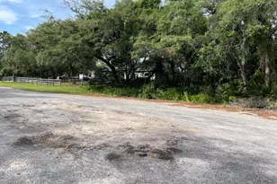 42111 Chinaberry Ct, Eustis, FL 32736 - Photo 67