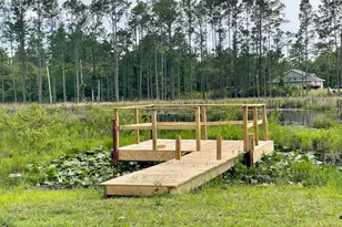 42111 Chinaberry Ct, Eustis, FL 32736 - Photo 7