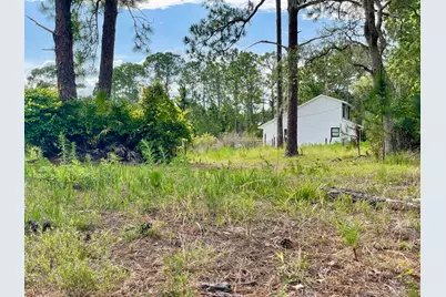 42111 Chinaberry Court, Eustis, FL 32736 - Photo 59