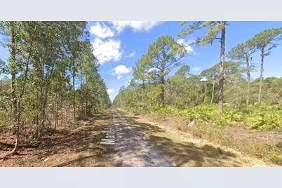 222 Marie Avenue, Georgetown, FL 32139 - Photo 9