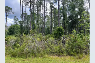 222 Marie Avenue, Georgetown, FL 32139 - Photo 11