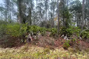222 Marie Ave, Georgetown, FL 32139 - Photo 1