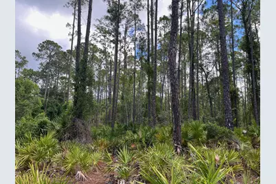 222 Marie Avenue, Georgetown, FL 32139 - Photo 5