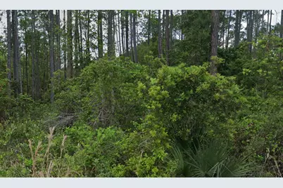 00 Glenside Street, Georgetown, FL 32139 - Photo 1