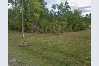 000 Roebuck Street, Georgetown, FL 32139 - Photo 1