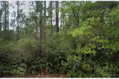 105 Glenside Street, Georgetown, FL 32139 - Photo 1