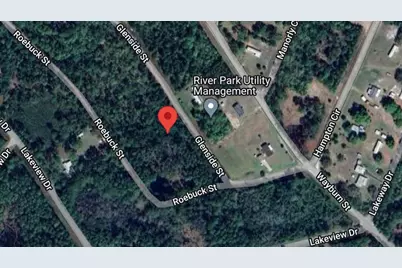 107 Glenside Street, Georgetown, FL 32139 - Photo 3