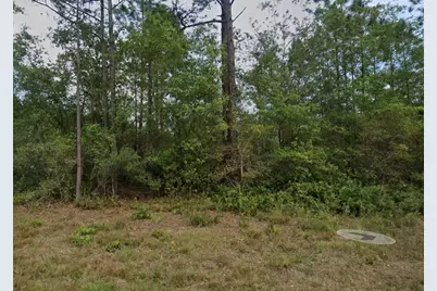 124 Roebuck Street, Georgetown, FL 32139 - Photo 1