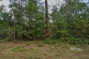 124 Roebuck St, Georgetown, FL 32139 - Photo 1